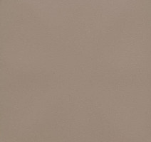 Линолеум Forbo Eternal Colour 40062 umber фото 1 | FLOORDEALER